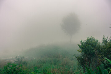 Obraz na płótnie Canvas A himalayan hill top covered in fog or mist with barely visible trees and ground. Uttarakhand India