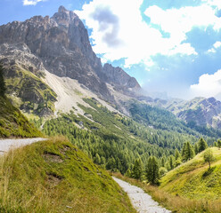 Fototapeta premium Dirt path on the Rolle Pass in San Martino di Castrozza, Trentino Alto Adige - Italy