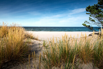 Fototapeta Baltic Sea. Beautiful beach, coast and dune on the Hel Peninsula. Piękne plaże półwyspu helskiego z widokiem na wydmę, roślinność wydmową, piasek i morze bałtyckie.  Okolice Helu i Juraty 
 obraz