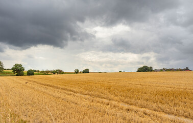 Obraz premium Stormy farmland scenery
