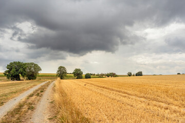 Fototapeta na wymiar Stormy farmland scenery