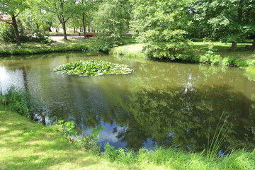 lake in the forest