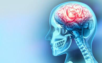Human brain injury,damage,hemorrhage. 3d illustration