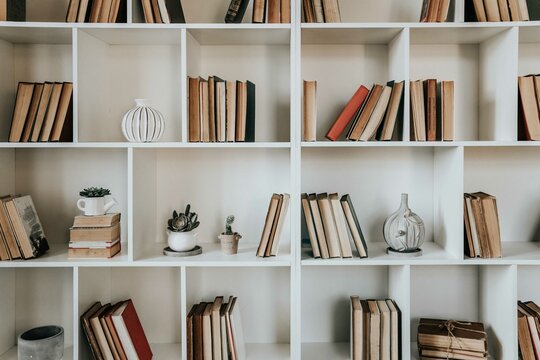 shelves with books, bookshelf background