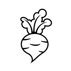 Fresh beet with leaf. Vector illustration. Isolated white background. Natural Root. Vegetable Ingredient for food