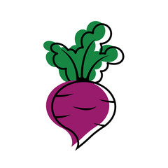 Beet. Beetroot with tops in doodle style. Autumn design element. Harvesting, gardening. Vegetables