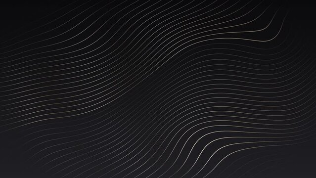 4k Abstract luxury black grey gradient backgrounds with animated wavy golden metallic stripes. Elegant horizontal banner. Copy space. Dark backdrop 3D