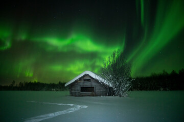 Abandoned cabin in winter under beautiful northern lights in Norrbotten, Sweden