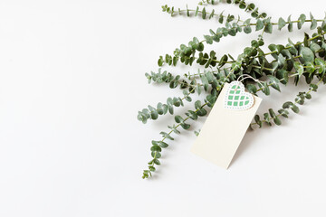 Mock up of Eucalyptus leaves and paper clip with place for text on white background. Wreath made of eucalyptus branch. Flat lay, top view