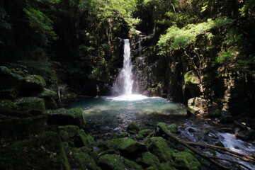Fototapeta premium 不動の滝 差し込む太陽の光 夏 （高知県 北川村 一の滝）