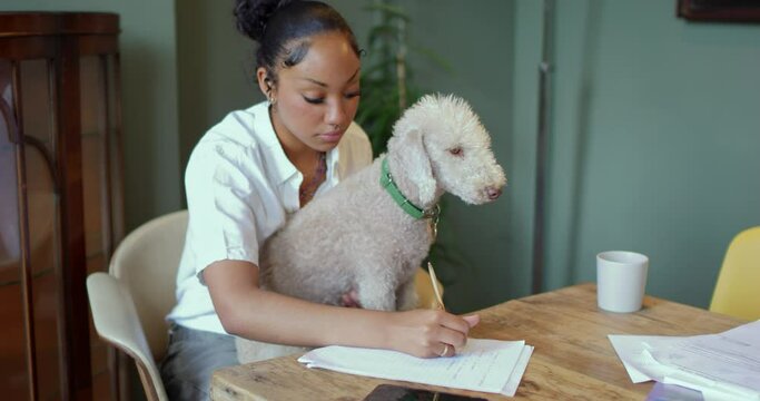 MS Teenage girl (16-17) sitting with dog at table and writing