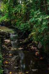 The flow of water in the river with a cool natural atmosphere.