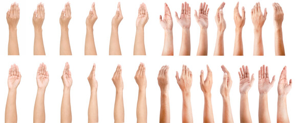 GROUP of Female asian hand gestures isolated over the white background.