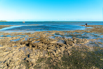 wave cut platform of a rocky beach in the warm blue sea and sky