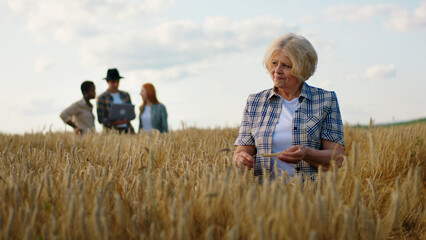 Naklejka na ściany i meble Beautiful old woman farmer with other family members multiethnic analysing the harvest in the middle of wheat field