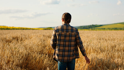 In front of the camera taking video from the back walking to the large wheat field farmer man he enjoy the time and analysing the harvest © spoialabrothers