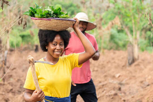 African Farmers In A Farm Working