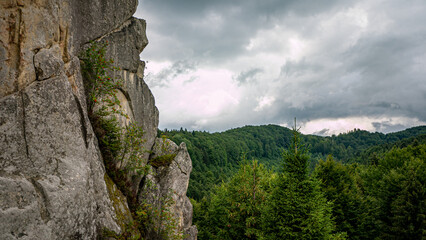 rock in the forest
