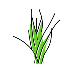 vallisneria spiralis color icon vector illustration