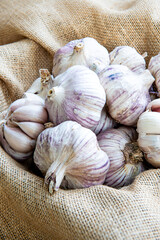 Group of raw organic garlic bulbs in a bowl on sackcloth. Allium sativum. Useful as a background for cooking blogs. Healthy cooking ingredient from organic agriculture.