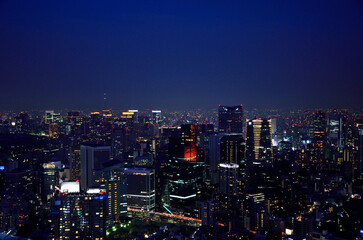 Naklejka premium Night view of Tokyo_02