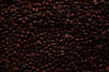 coffee beans for background. coffee seed
