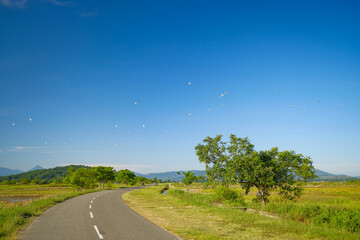 A village road with beautiful tree on a side of the road with birds flying on a blue sky.