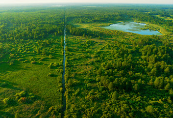 River in the wild. Water supply. Small river in field and forest in swamp, Aerial view. Wildlife Refuge Wetland Restoration. Green Nature Scenery. River in Wildlife. Freshwater Lakes and Ecosystem.
