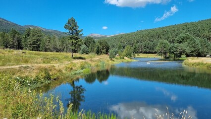 Etang de l'Olive, Formiguères.Pyrénées Orientales, France

