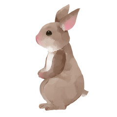 白い背景に手描き水彩風の茶色のウサギが立っているイラスト