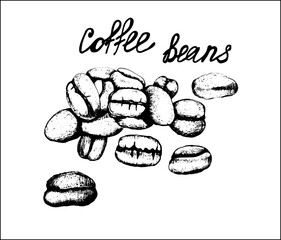 A hand-drawn pile of coffee beans. Monochrome vector illustration in retro style. Pencil sketch, icon, logo, clipart, template. Book illustration.