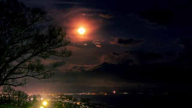 おぼろ月 楽天市場】【ふるさと納税】おぼろ月 オレンジ・チーズ12個セット