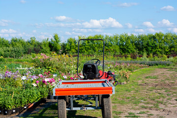 A mini tractor with a trailer is of great help to farmers when working in a plant nursery