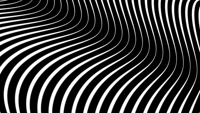 4k Abstract luxury black and white gradient backgrounds with animated wavy monichrome stripes. Elegant horizontal banner. Copy space. Dark backdrop 3D