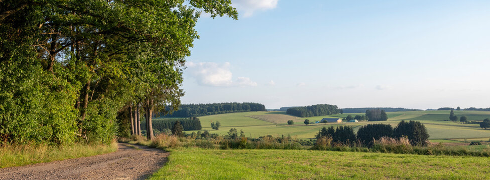 fields and forests in countryside landscape of belgian hautes fagnes