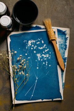 Herbal cyanotype
