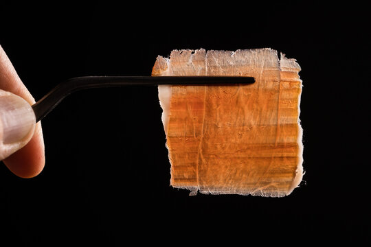 Delicious thin ham slice on black background