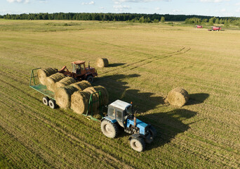Obraz premium Hay Making in autumn season. Farmer loading round bales of straw from Hay Trailer with a front end loader. Store hay at farm. Hay rolls as Forage feed for livestock.