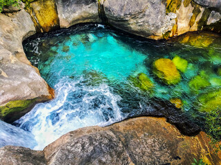 natural swimming pool 