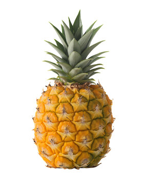Pineapple Isolated