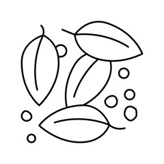 leaves of black pepper plant line icon vector illustration