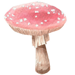 Mushroom watercolor hand painted
