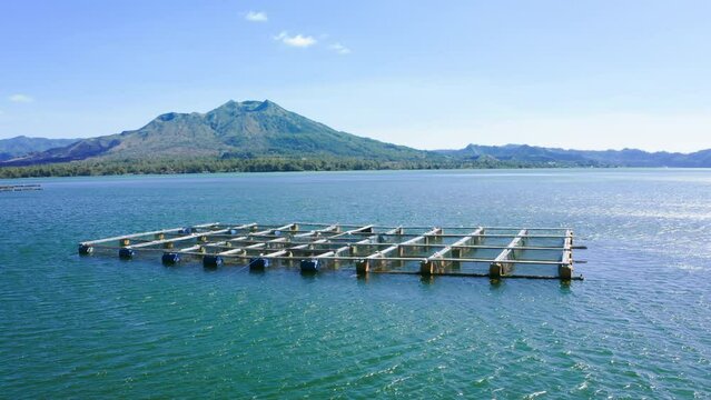 A beautiful flyby above fish farm on shore of Lake Batur with green water. Landscape of coast with fish floating farm and nets against the background of a volcano and a blue sky in sunny day.
