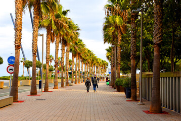 People on a walk along path near coastline. Winter season in Spain. Palm trees at Seafront of La...