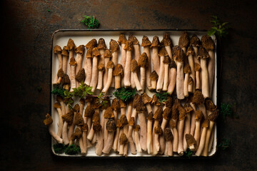 Morel mushrooms on a white metal tray