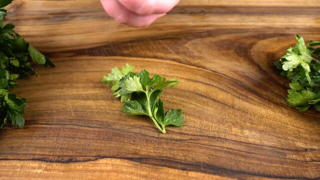 The cook cuts parsley on a wooden cutting board