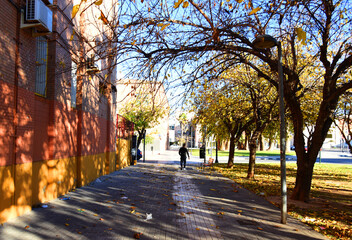 Autumn leaves on the sidewalk. Yellow leaves fall on the footpath in the city. Autumn season at sunset background with people on the street. Warm winter day in Spain, Valencia.