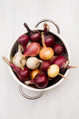 Purple, white and golden onions in a metal sieve