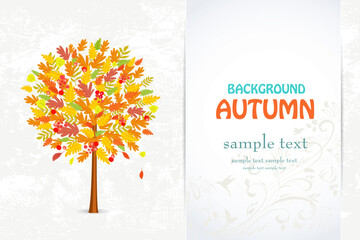 template invite banner with autumn colorful tree with bright lea - obrazy, fototapety, plakaty