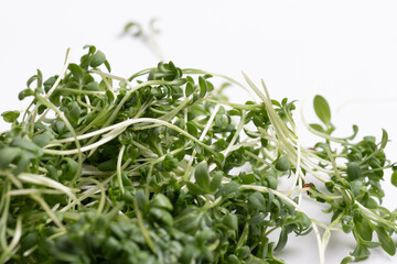 Close - up of appetizing, fresh microgreens on white background. Excellent image for healthy food banners and advertisements.